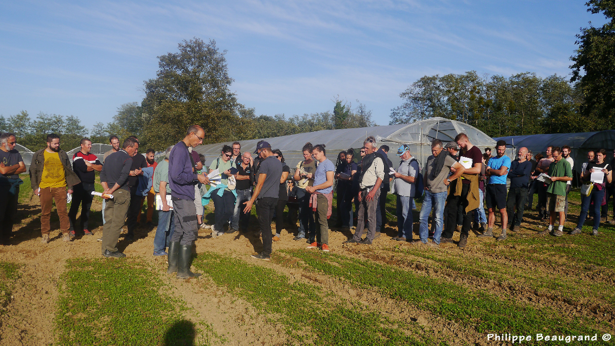 photo de discussionautour d'un carré en engrais vert après travaux de terrassement