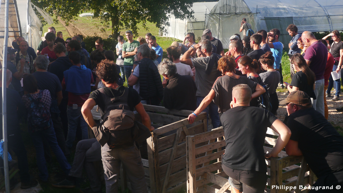 photo du groupe de visiteurs près des tunnels