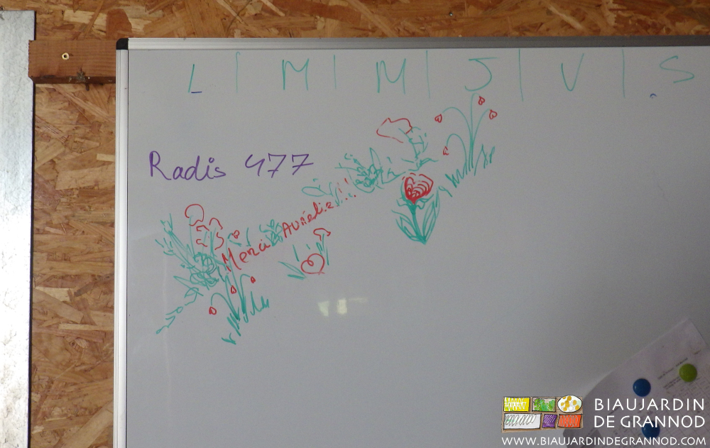 photo du tableau de travail à faire 477 bottes radis et dessin merci Aurélie
