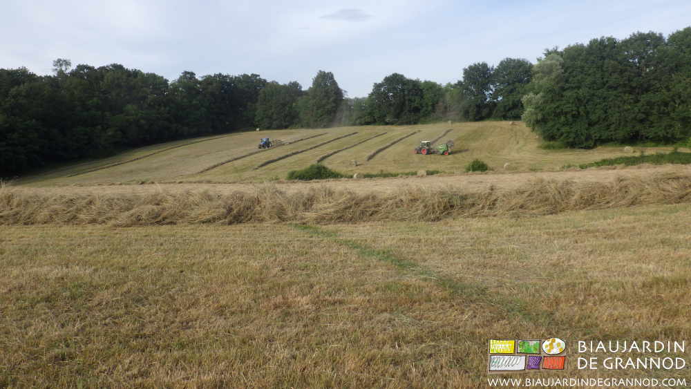 photo d''andainage pressage de nos foins de prés
