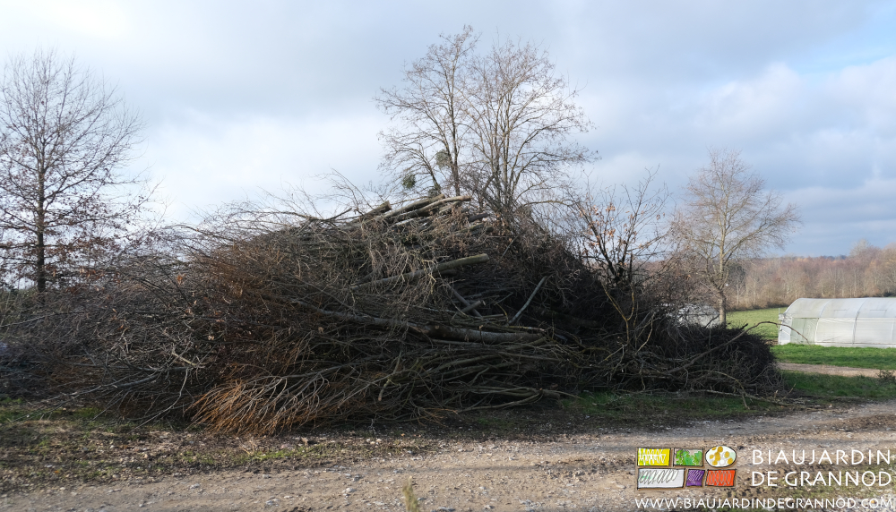 photo du gros tas de troncs et branches pour production d'énergie renouvelable locale