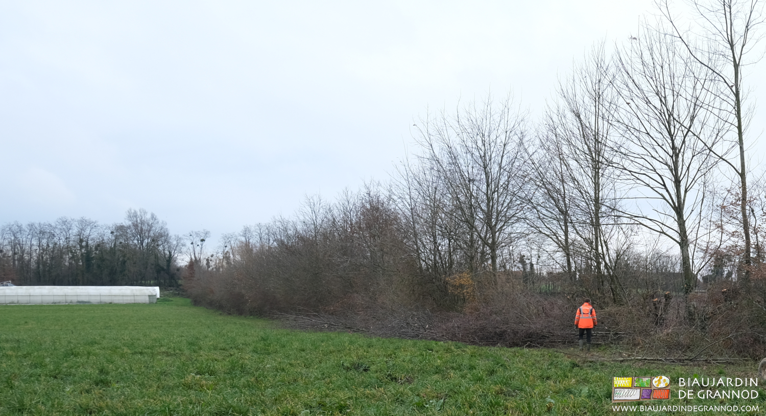 photo de Matthieu en blouson fluo qui travaille dans la haie bocagère