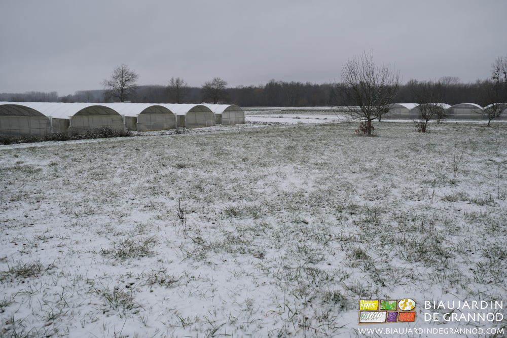 vue d'ensemble du jardin enneigé