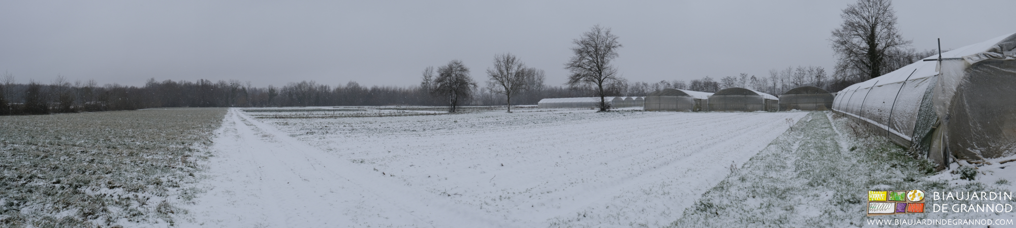 photo panoramique du jardin enneigé