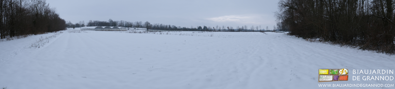 photo panoramique du jardin sous la neige
