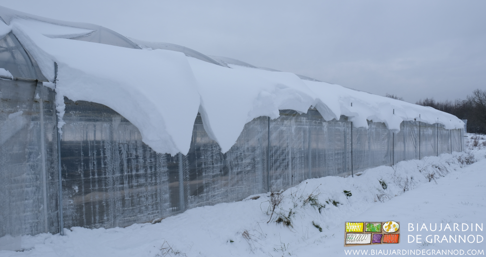 photo de matelas de neige sur les tunnels