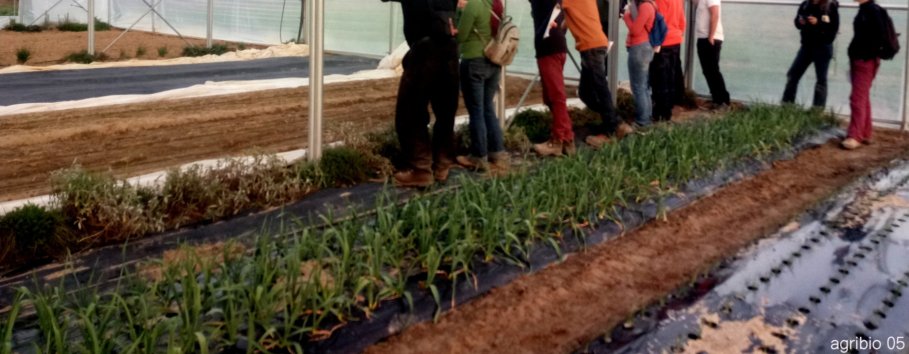 photo des visiteurs dans le quadritunnel