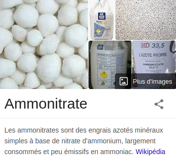 copie Wiki ammonitrate est un azoté engrais à base de nitrate d’ammonium largement consommé