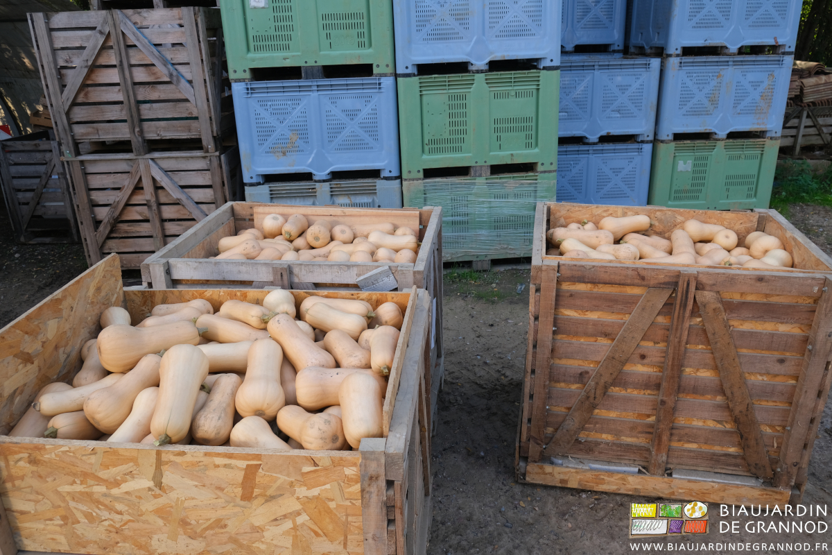 photo des premiers palox bois dans la cour en attente de rangement