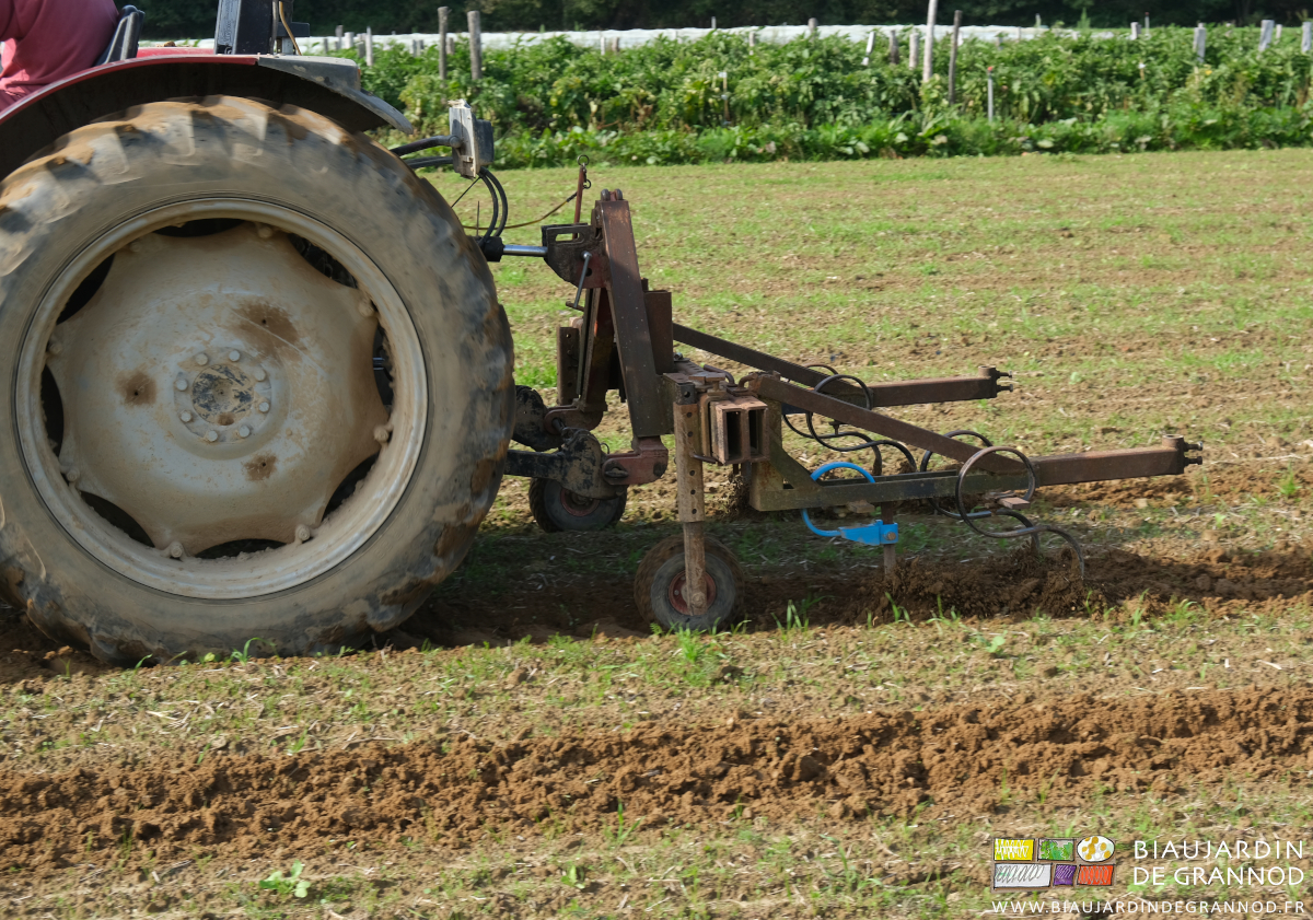 photo du binage des allées an tracteur