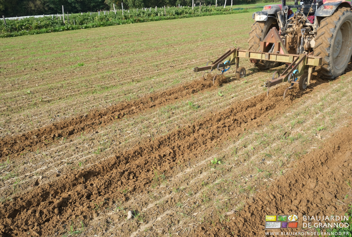 photo proche du travail superficiel dans l'allée