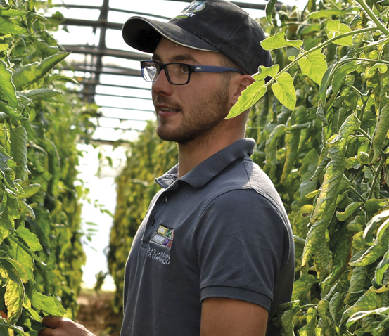 photo de Matthieu dans un tunnel de tomate en pleine forme les deux