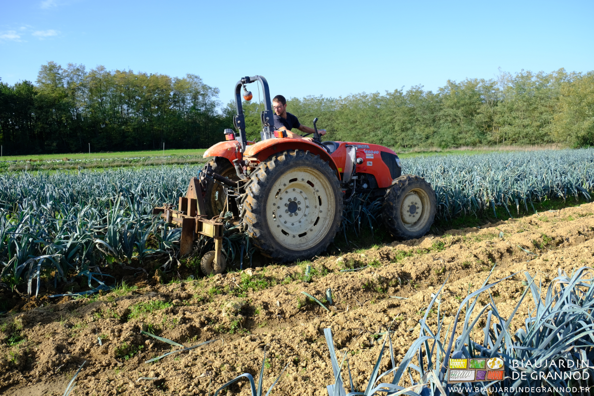vue de Matthieu au tracteur récoltant du poireau avec la lame souleveuse de la Barre porte outil