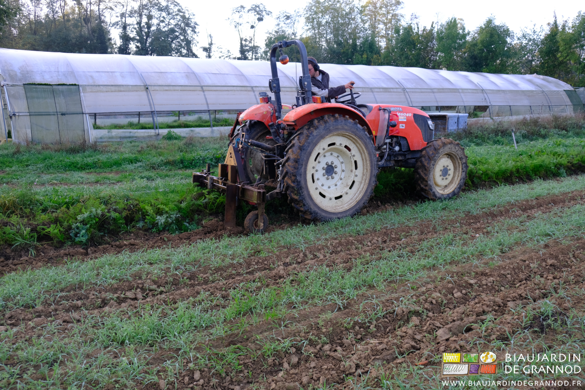 photo de Matthieu qui soulève mécaniquement une planche de carotte