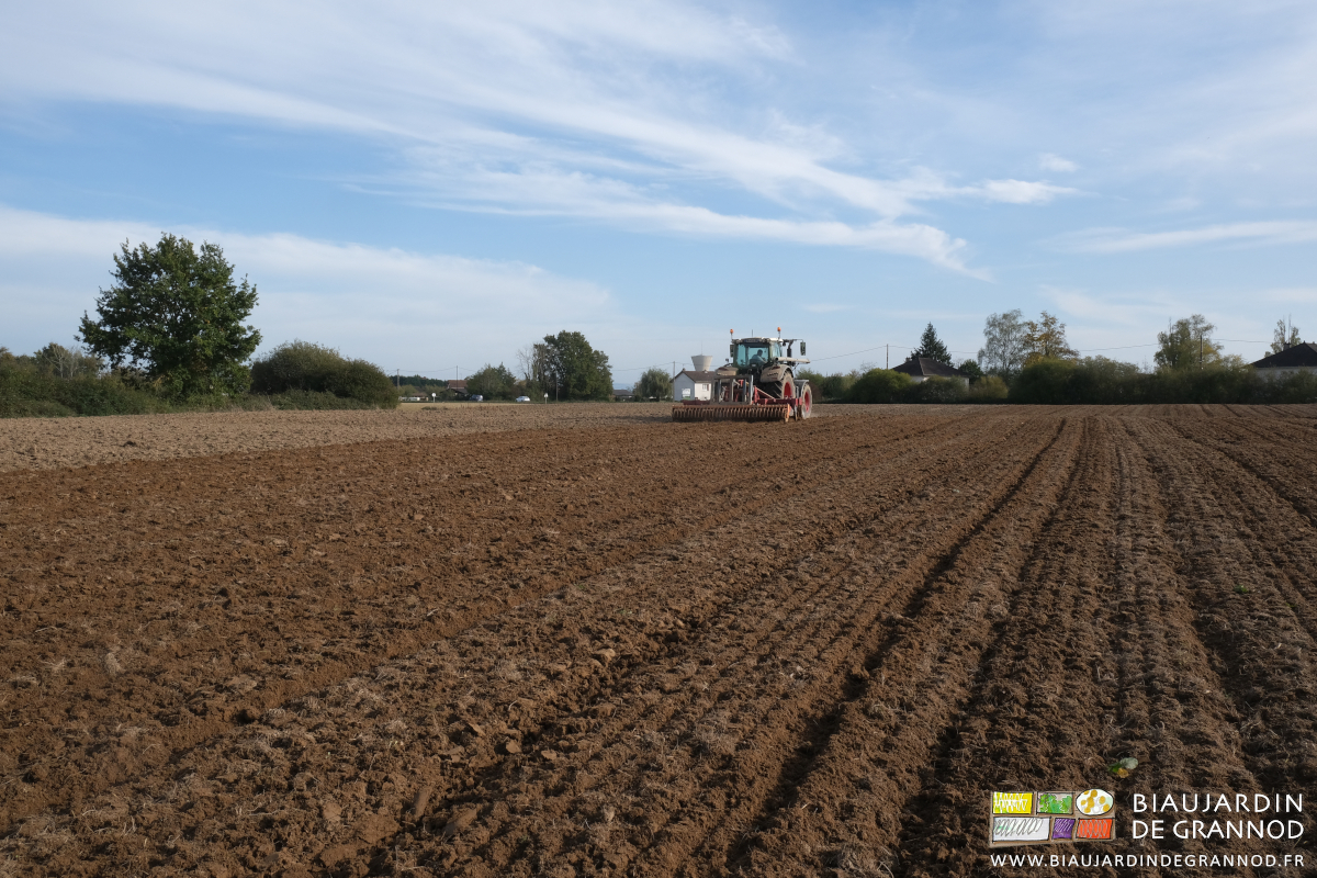 vue le parcelle au soleil, la terre travaillée