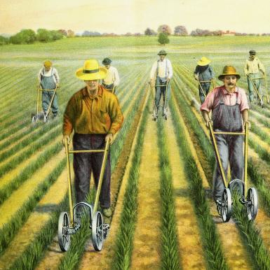 dessin du catalogue Planet 1922 aux USA : 7 personnes à la houe dans une grande parcelle