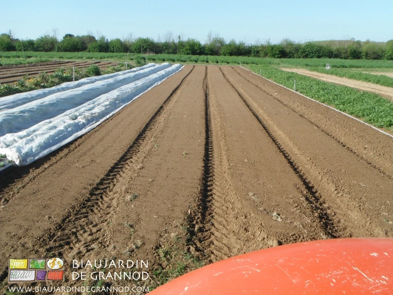 photo d'un ensemble de planches humides prêtes au semis
