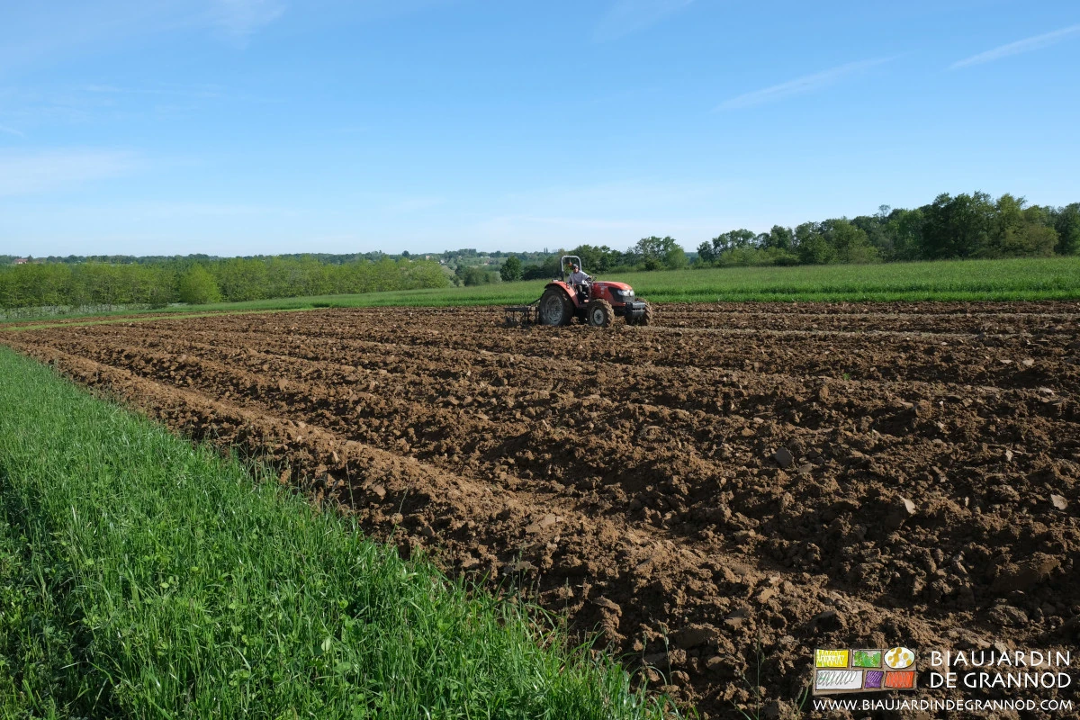 photo du travail en plein champ pour monter les buttes permanentes