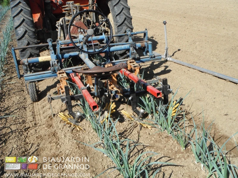 photo de bineuse guidée avec les doigts souples qui désherbent sur le rang lui-même