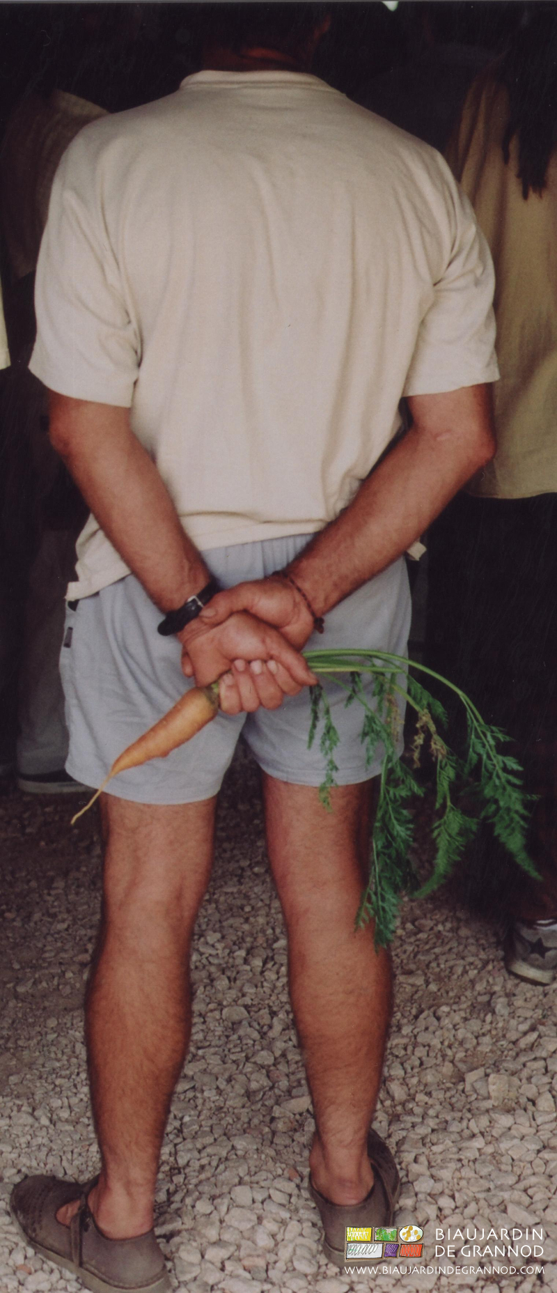 photo de carotte de Chantenay aux mains de daniel sur fond de mollet paysan