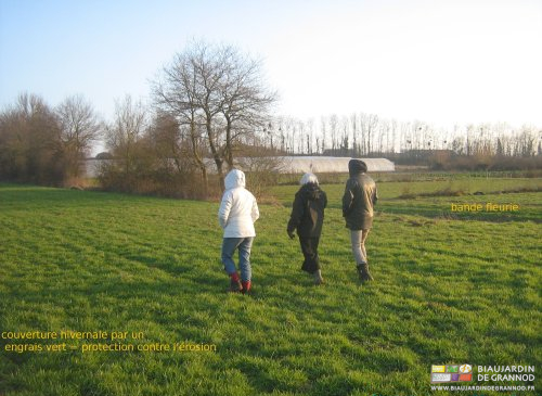 Photo par journée froide et ensoleillée des visiteurs dans une grande parcelle d’engrais vert