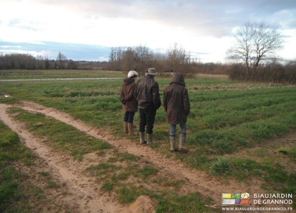 photo de Monique et Michel avec Françoise arpentant le jardin et ses engrais verts hivernés