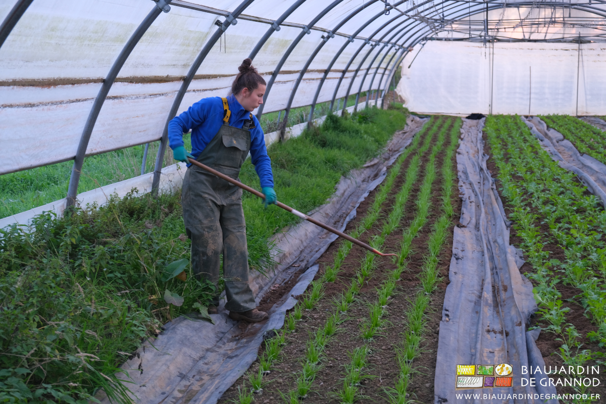 photo de Kim au travail avec une râpette manuelle