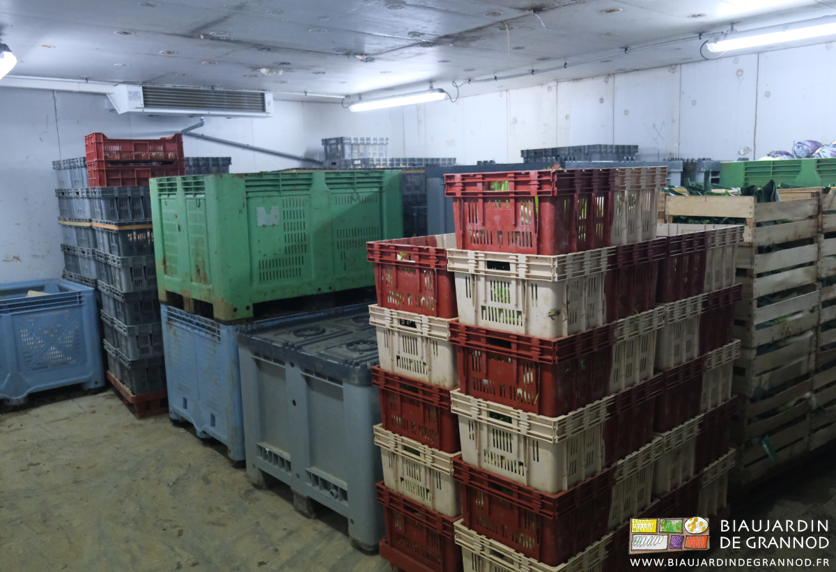 photo des cagettes et palox de légumes dans une chambre froide