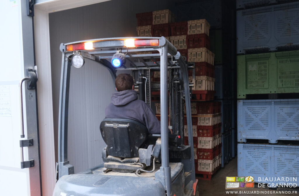 photo de Matthieu ra,ngeant les palox de récolte dans la chambre froide haute