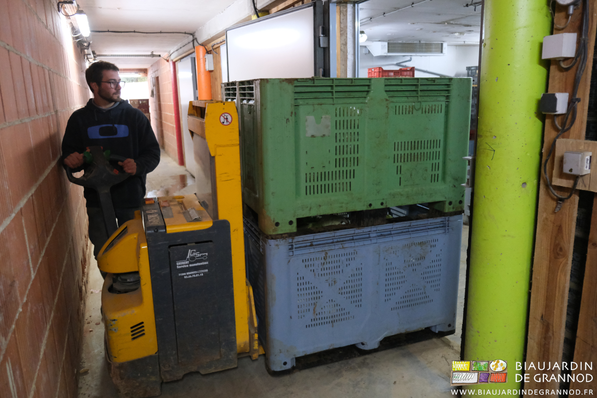photo de Matthieu à la manœuvre du gerbeur pour entrer 2 palox empilés dans une chambre froide