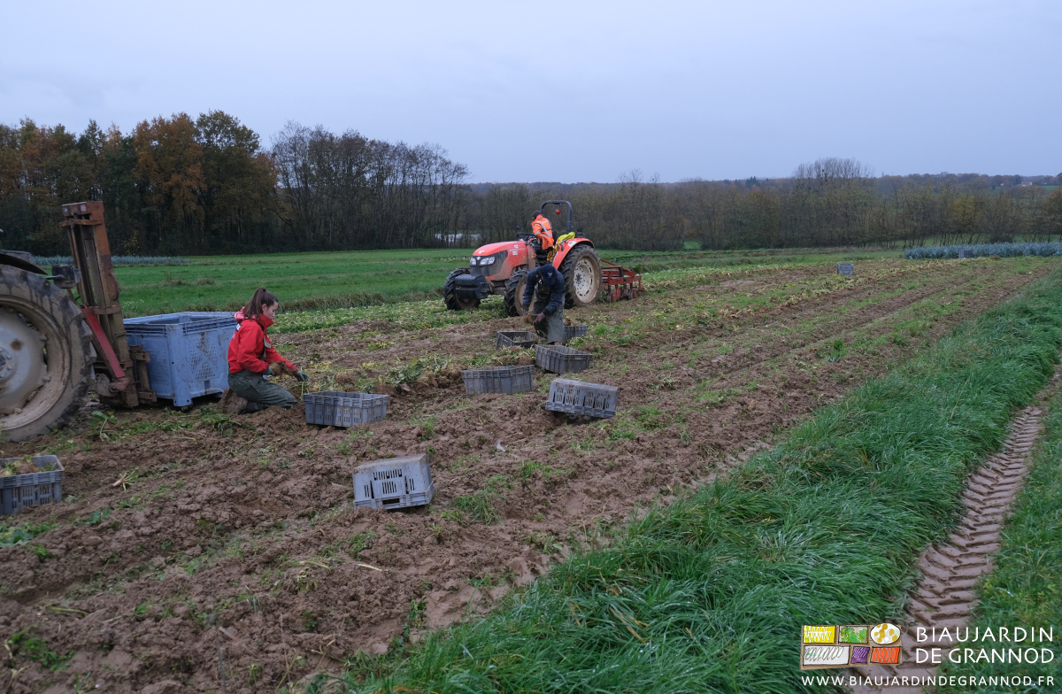photo des Biaux Jardiniers en vêtements de pluie à genoux sur la terre très mouillée