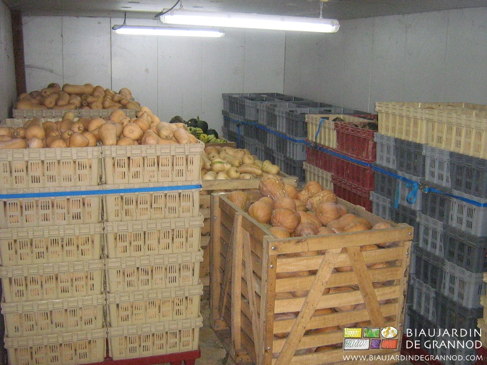 photo des palox de courge dans leur local isolé et tempéré