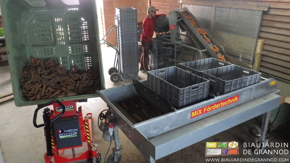 photo de la salle de préparation des légumes et la ligne de brossage tri devant un bardage bois