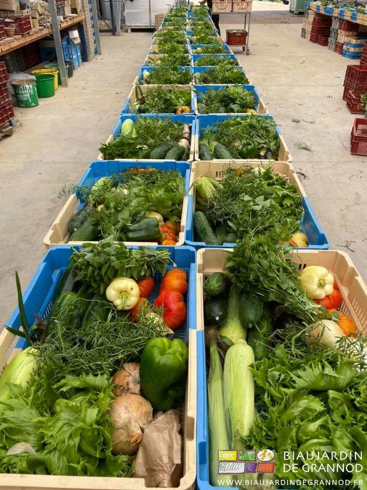 photo de l'alignement sur les tables des paniers en cours de préparation