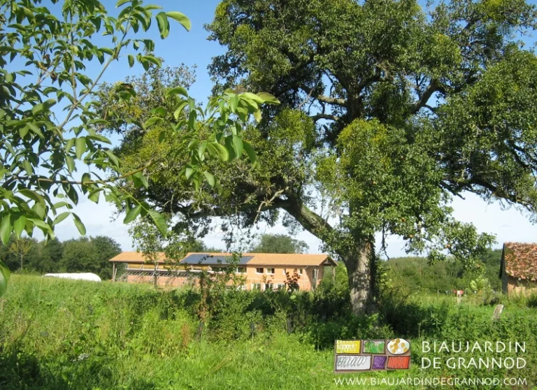 photo de notre bâtuiment autoconstruit de brique et de bois