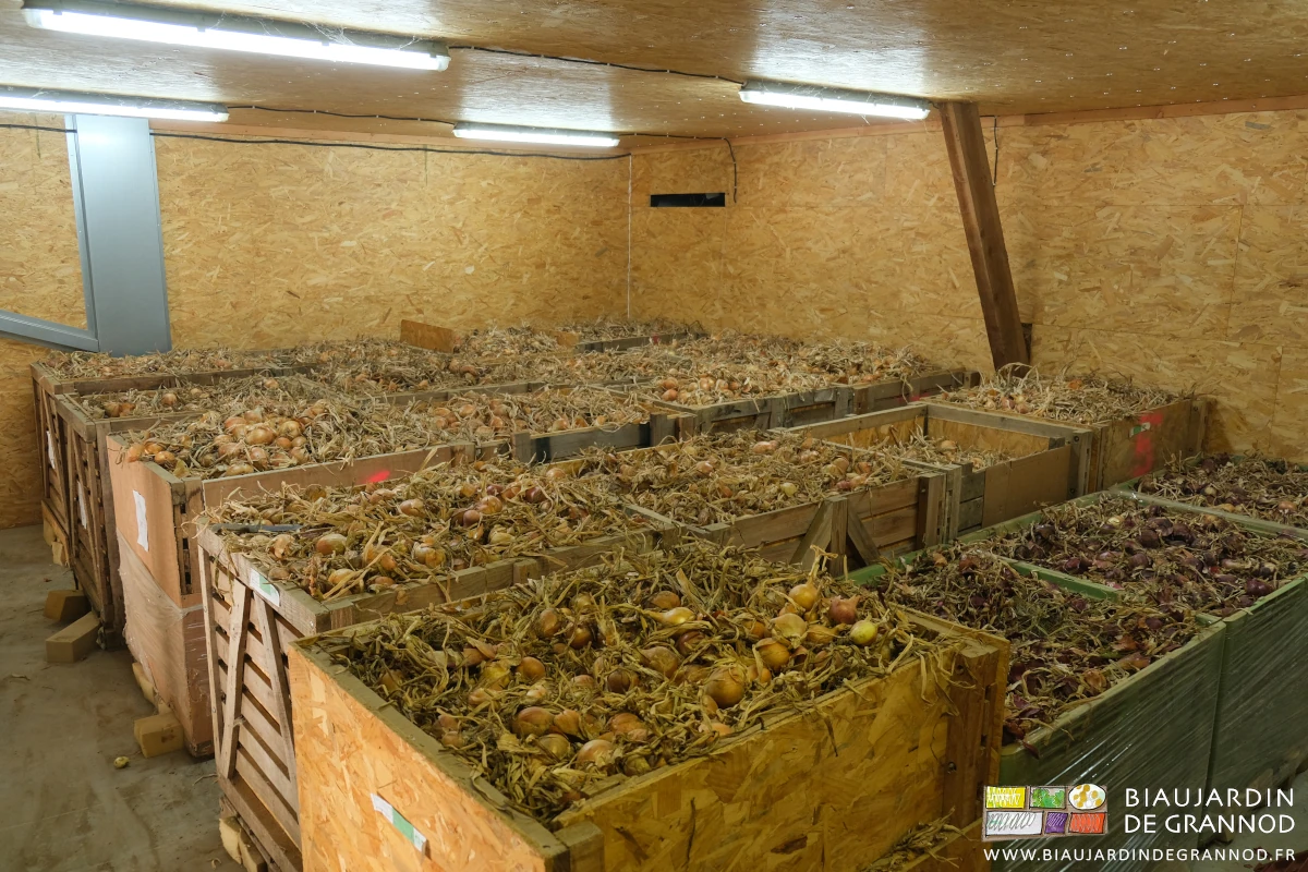 photo du local pour conservation des oignons avec ventilation contrôlée