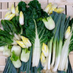 photo de bette bressane, fenouil, endive, bette italienne, poireau sur cagette bois