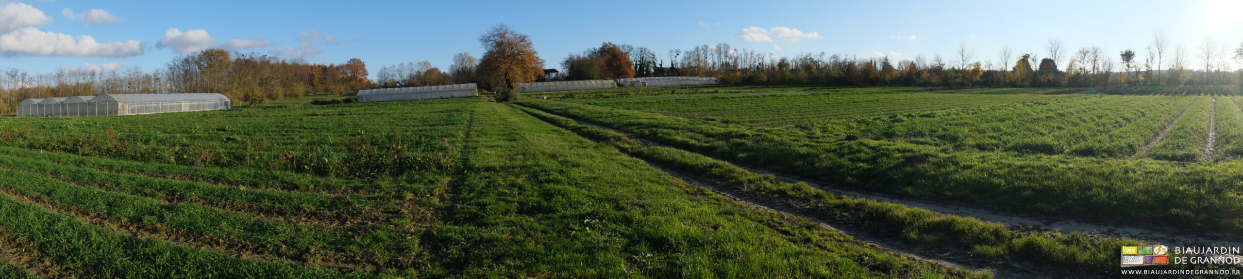 photo panoramique du jardin couvert d'engrais vert et entouré de haies bocagères à feuilles rousses