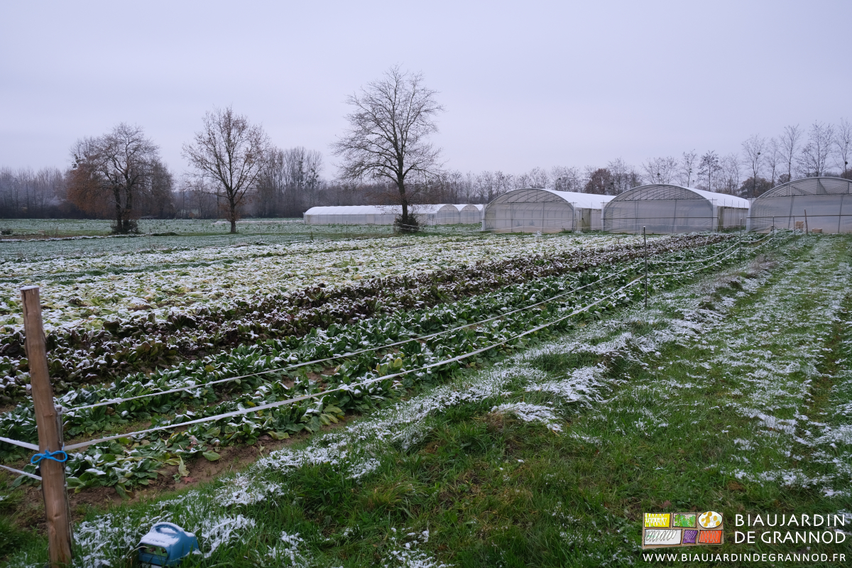 photo du jardin avec un petit peu de neige sur les engrais verts et le dessus des tunnels