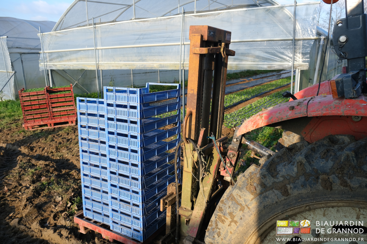 photo ensoleillée du mât lève-palettes et des caisses de mottes