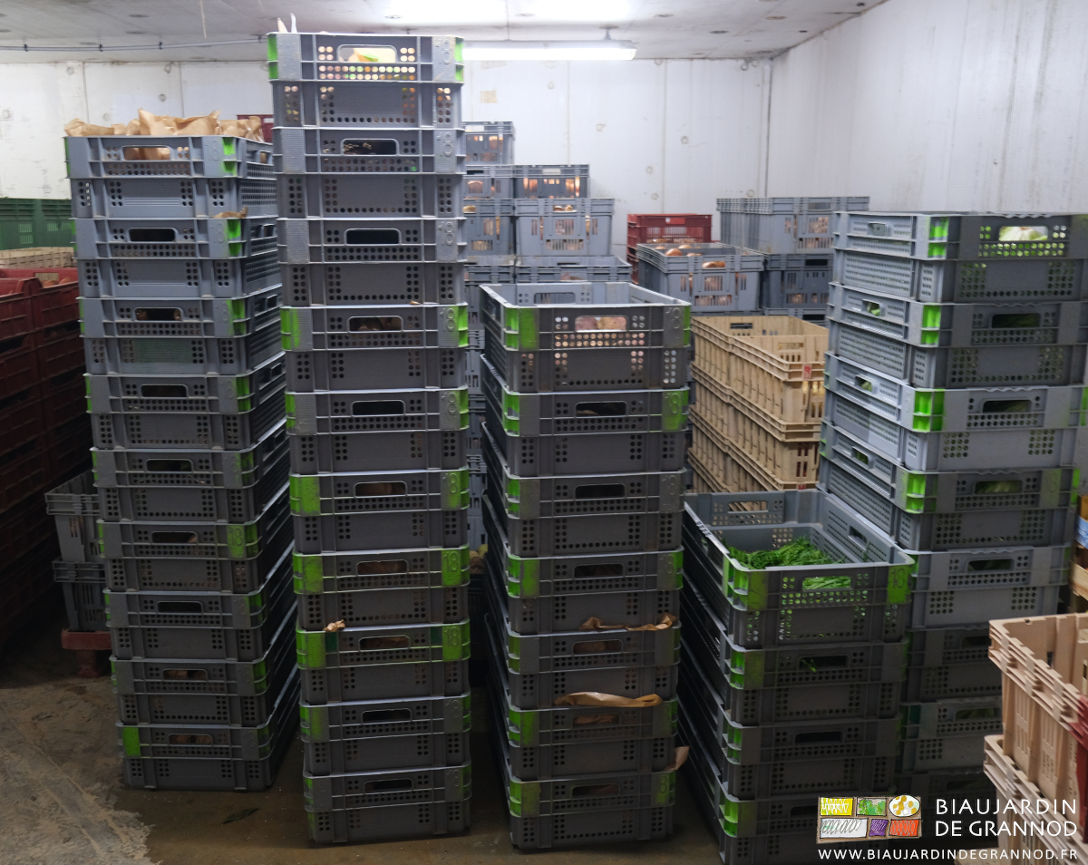 photo des piles de cagettes Alterconso rangées au froid