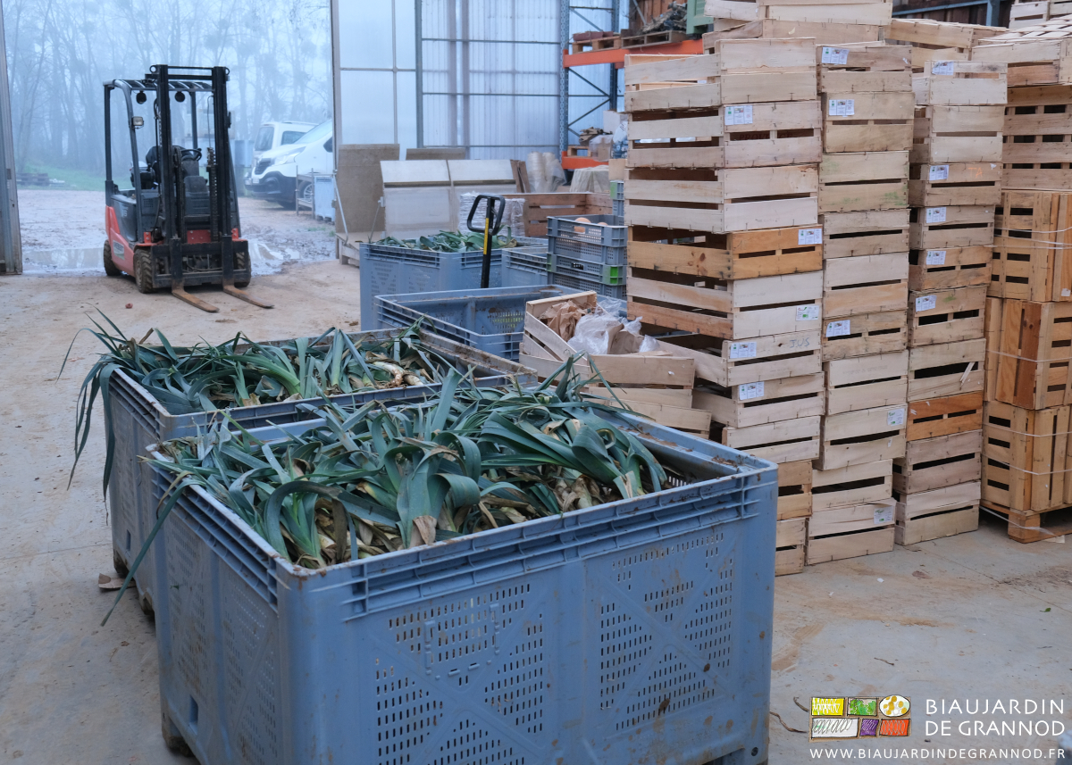 photo des palox de poireau apportés au bâtiment