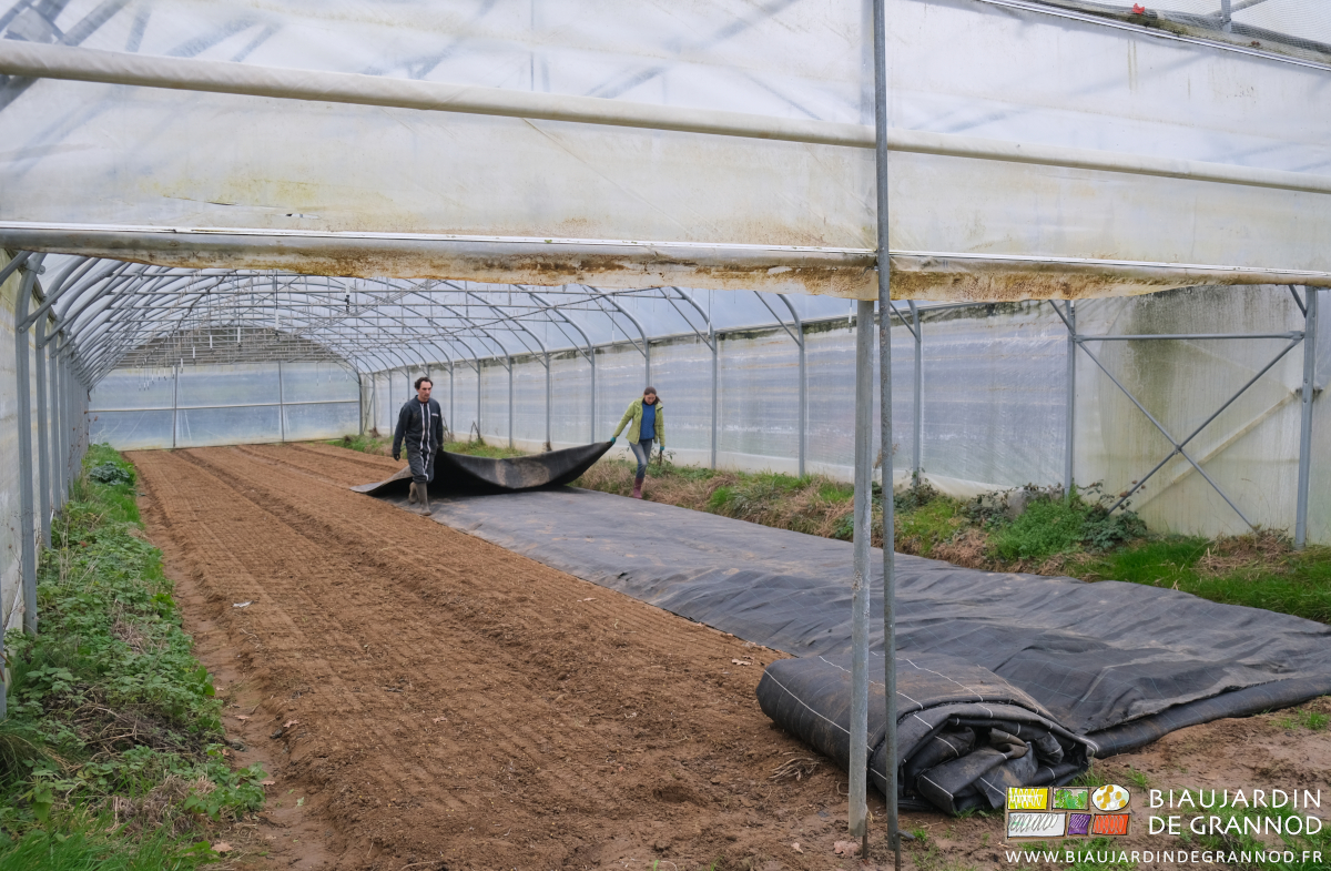 photo du débâchage et rangement des toiles d'occultation
