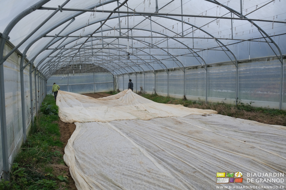 photo de la mise en place du vole non tissé contre le froid