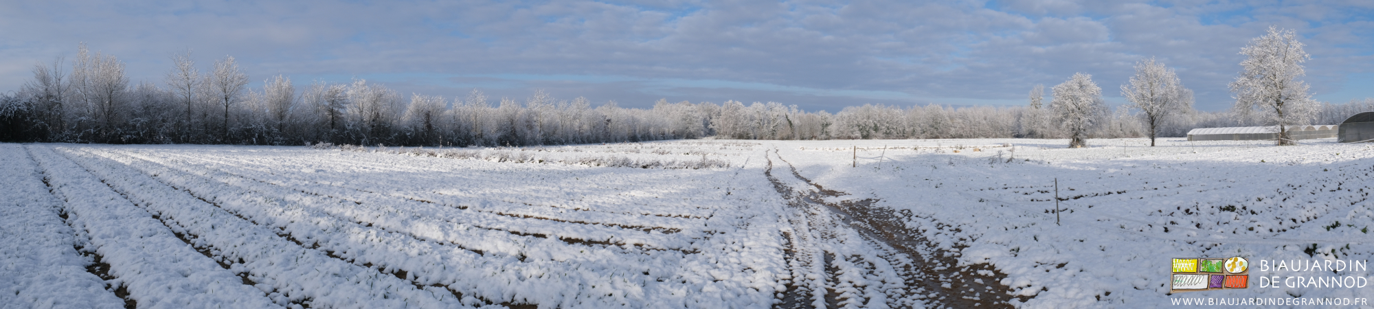 photo panoramique du jardin sous la neige