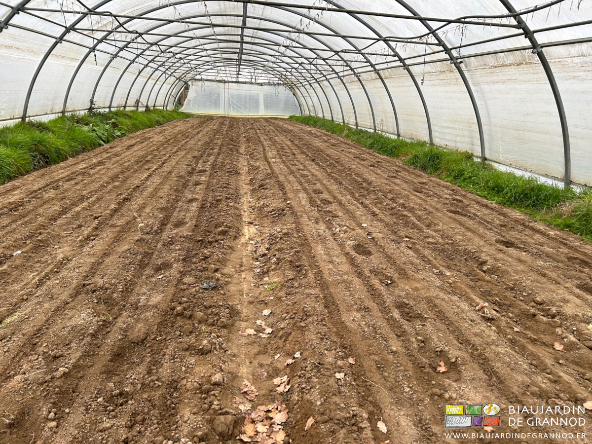 photo des planches occultées avec le relief du semoir