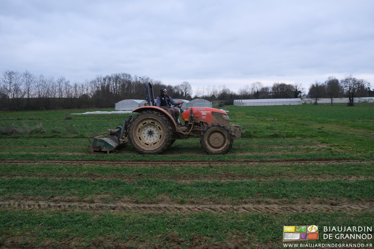 photo de Matthieu broyant au tracteur les engrais verts 