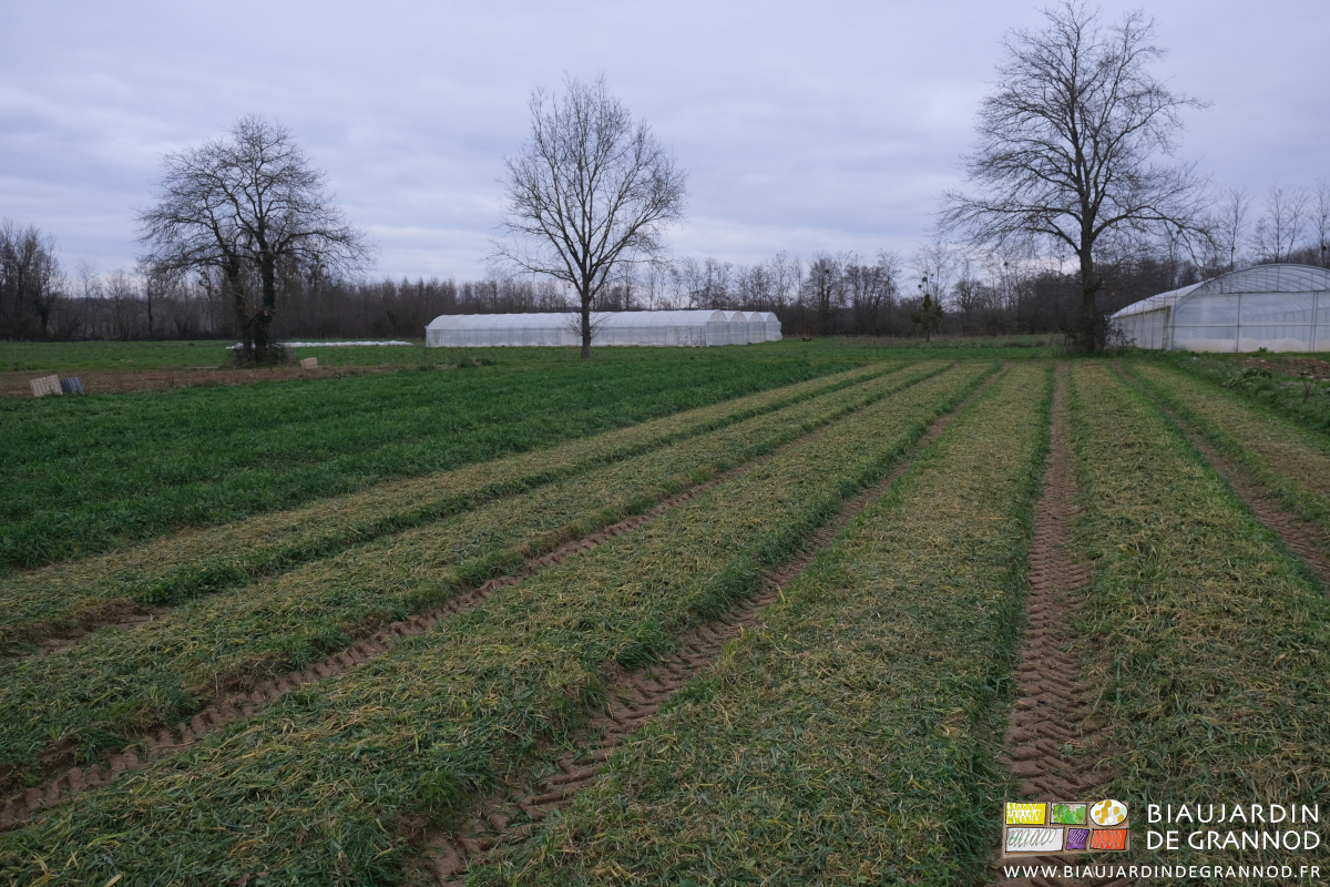 photo d'un carré en cours de broyage