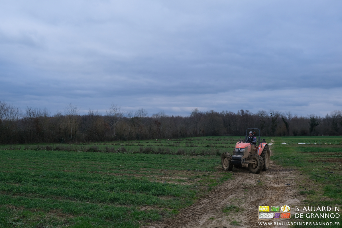 photo d'ensemble du jardin sous ciel très gris