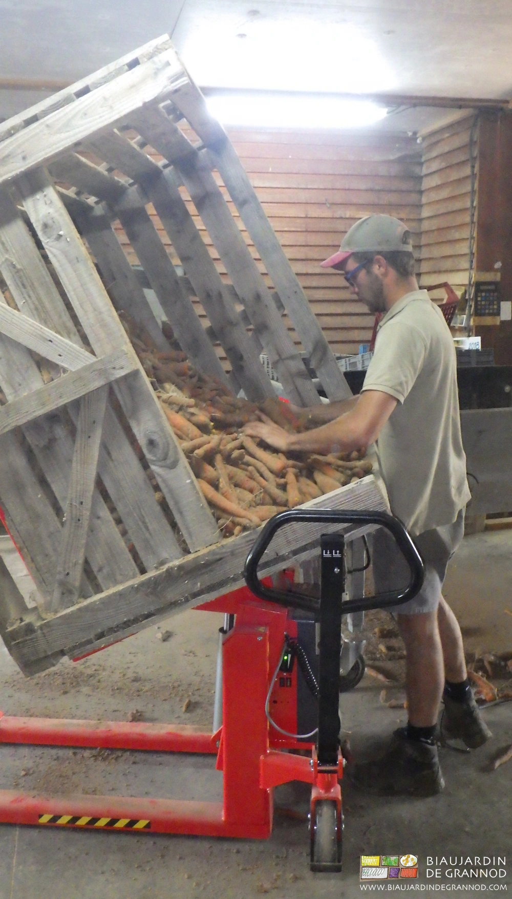 photo de Matthieu prenant confortablement des carottes grâce au basculeur